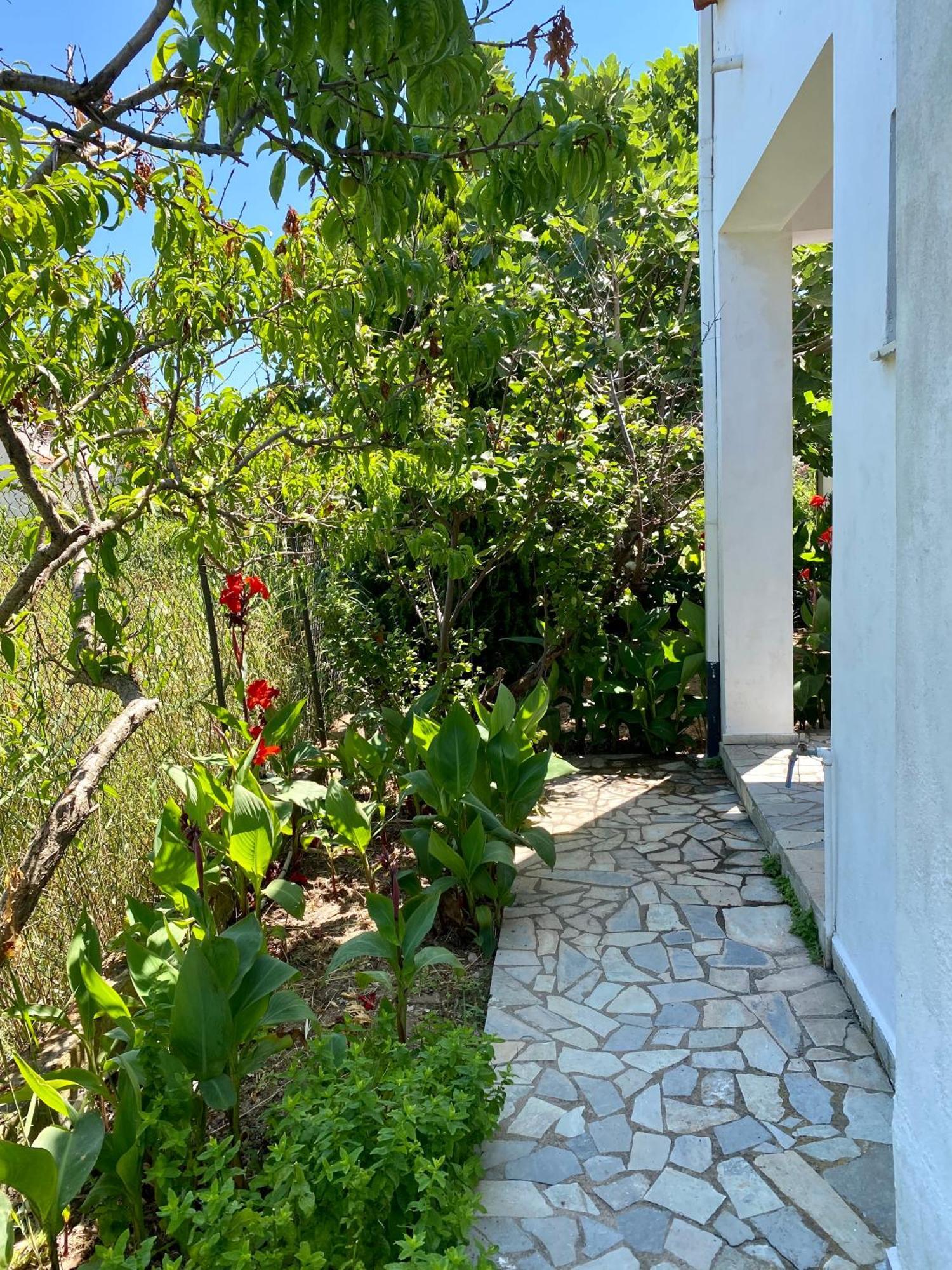 Pitsa'S Rooms Tsonia Exterior foto
